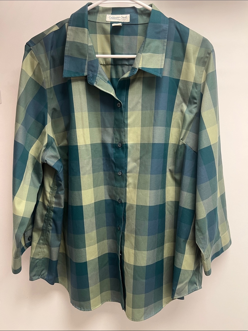 Coldwater Creek Teal and Light Green Plaid Button-Down Shirt